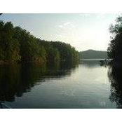 Beth Mulry's photo