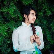 Lan Anh Nguyen's photo