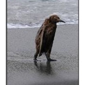 Sören van Diepen's photo
