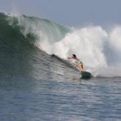 Larissa Barbieri's photo