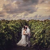 Stephanie Linton's photo