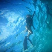 Yanet Salgado's photo