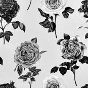 Natalia Grosner's photo