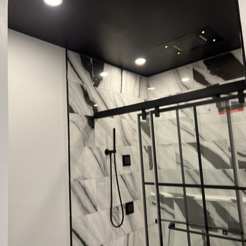 Basement Remodel