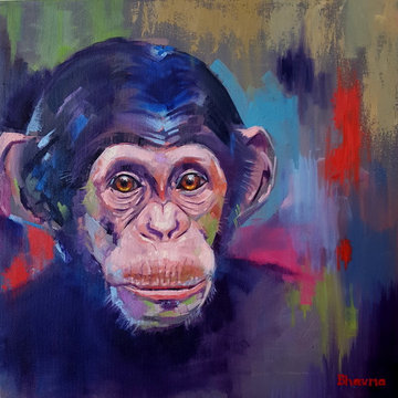 Oscar the Baby Chimpanzee