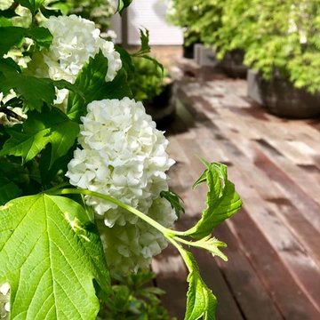 Du vert et des fleurs blanches... C'était notre leitmotiv !