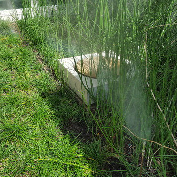 Mosquito Control Systems