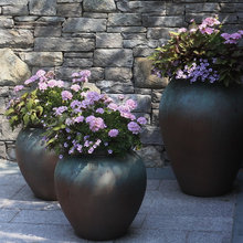 Container planting ideas