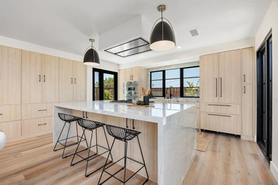 Kitchen - contemporary kitchen idea in San Diego