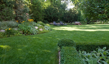 Der Garten im August – was jetzt zu tun ist