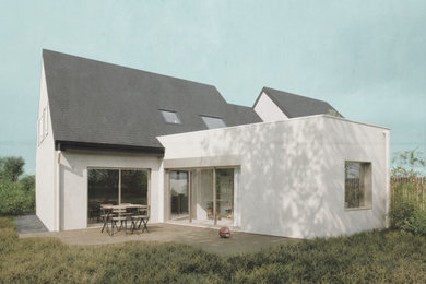 Aménagement d'une façade de maison contemporaine avec un toit plat.