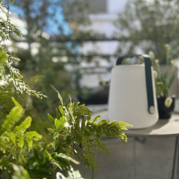 Issy-les-Moulineaux - Aménagement paysager d'une mini-terrasse