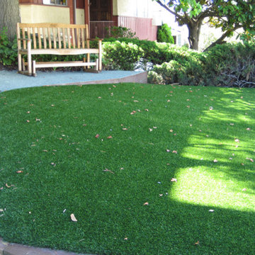 Synthetic Lawns