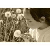 Marie McVenes's photo
