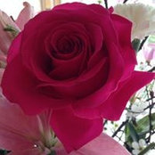 Lana Mass Schmidt's photo