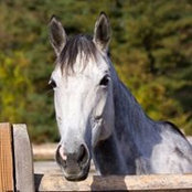 Amy Avitabile Seefried's photo