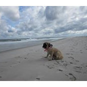 Pat Lamberti's photo