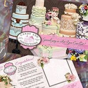 Lisa Stoudt's photo