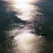 Simon Grossmans foto