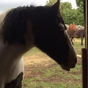 Noreen Edmonds's photo