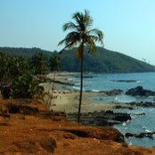dimpy roy's photo