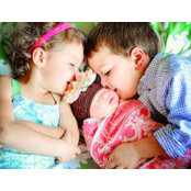 Diane Goldstein's photo