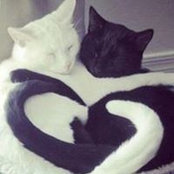 Ellen Tyrell's photo