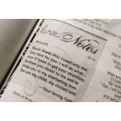 Cindy Jones's photo