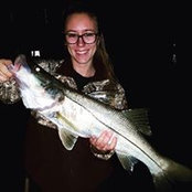 Kristen Schaffer's photo