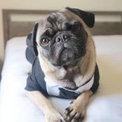 Bubba Mason's photo