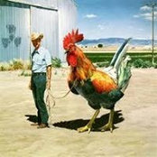 Photo de Pollo Magico