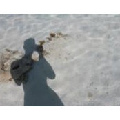 Nicholas Ioannou's photo