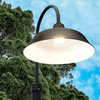 Cocoweb 14" Farmhouse LED Street Lamp in Black With 11' Tall Post