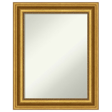 Parlor Gold Non-Beveled Wall Mirror - 23.75 x 29.75 in.