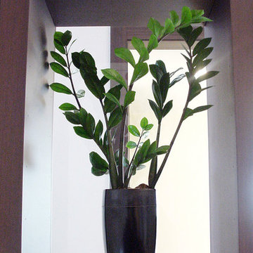 Plants.S