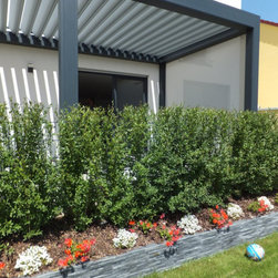 Lamellendach - Products