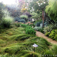 Front yard design
