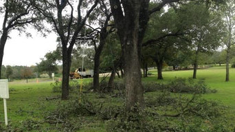 Tree Trimming Austin - Certified Arbor Care (512) 671-8733
