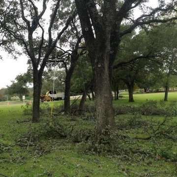 Tree Trimming Austin - Certified Arbor Care (512) 671-8733