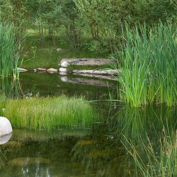Transformative Water