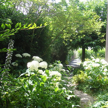 En pleine ville