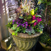 Urns