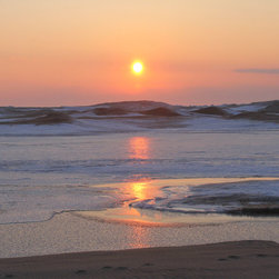 Early Spring Reflection - Prints And Posters