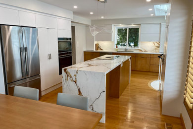 Eat-in kitchen - mid-sized contemporary medium tone wood floor eat-in kitchen idea in Toronto with an undermount sink and flat-panel cabinets