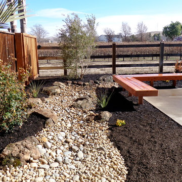 Drought Tolerant Landscape
