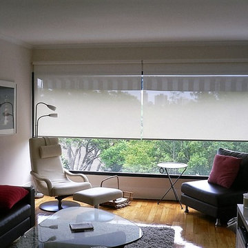 Roller Shades