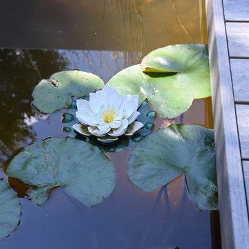 Jardin Zen