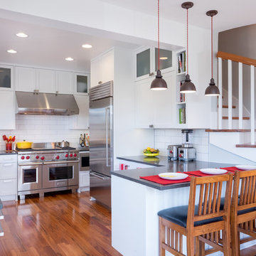Mt. Baker Addition and Remodel