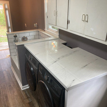Man Cave, Dog Washing Station & Bath Remodel