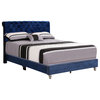 Maxx Navy Blue Tufted Upholstered Queen Panel Bed